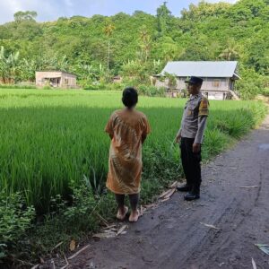 Dukung Ketahanan Pangan Nasional, Bhabinkamtibmas Desa Karang Dima Ajak Warga Manfaatkan Lahan Pekarangan