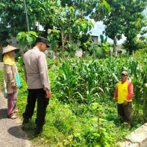 Polsek Jatirogo Polres Tuban lakukan sambang desa cek lahan produktif di Desa Kebonharjo