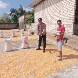 Polri Dukung Astacita, Polsek Semanding Polres Tuban Turun Cek Tanaman jagung milik Warga di Desa Prunggahan kulon
