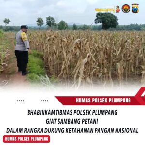 Polri Dukung Astacita, Polsek Rengel Polres Tuban Turun Cek Tanaman Jagung Warga di Desa Maibit