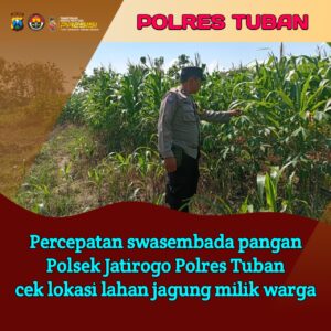Dukung Astacita, Polsek Jatirogo Polres Tuban Pantau Langsung Lahan Jagung Warga Desa Sidomulyo