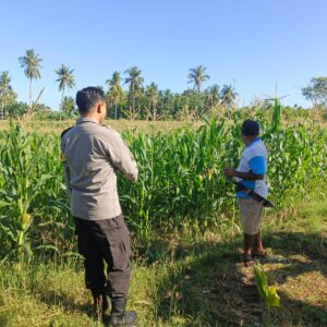 Bhabinkamtibmas Desa Lekong Ajak Warga Optimalkan Lahan dengan Tanaman Hortikultura