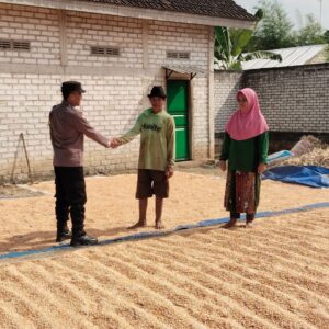 Silaturahmi ke Gudang Jagung, Bhabinkamtibmas Cek Kualitas dan Harga