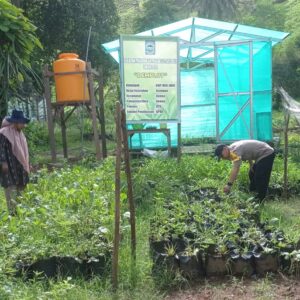 BHABINKAMTIBMAS POLSEK DOMPU DORONG WARGA KEMBANGKAN PEKARANGAN PANGAN LESTARI UNTUK PERKUAT KETAHANAN PANGAN DAN GIZI