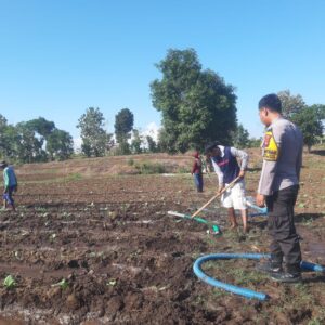 DORONG PETANI KEMBANGKAN TANAMAN TUMPANG SARI UNTUK MENINGKATKAN KETAHANAN PANGAN DAN PENDAPATAN KELUARGA