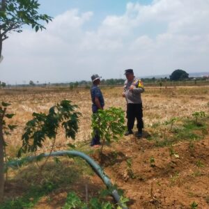 Dukung Program Asta Cita, Anggota Polsek Kerek Dampingi Petani Olah Lahan