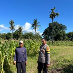 Dukung Program Asta Cita, Bhabinkamtibmas Desa Kelawis Sambangi Petani Jagung