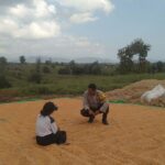 Pantau Hasil Panen Jagung, Bhabinkamtibmas desa Saneo Ajak Petani Salurkan Hasil ke Bulog dan Manfaatkan Pekarangan Produktif