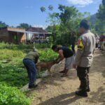 Cegah Penyebaran Penyakit pada Hewan, Bhabinkamtibmas Telaga Bertong Aktif Dampingi Program Vaksinasi Puskeswan