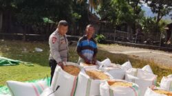 Bhabinkamtibmas Desa Sawe Pantau Pengemasan Hasil Panen Jagung, Edukasi Petani Penuhi Standar Distribusi ke Bulog