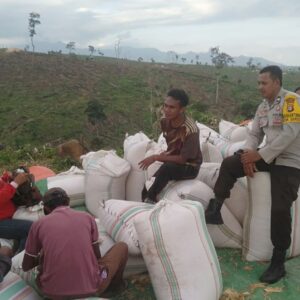 Bhabinkamtibmas Polsek Woja Pantau Panen Jagung Warga, Wujud Dukungan Polri terhadap Program Ketahanan Pangan Nasional