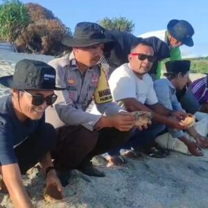 Jaga Kelestarian Ekosistem Laut, Bhabinkamtibmas Ikut Pelepasan Tukik di Pantai Mawil