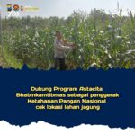 Dukung Astacita, Polsek Jatirogo Polres Tuban Pantau Langsung Lahan Jagung Warga Desa Bader