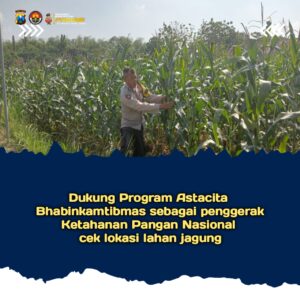Dukung Astacita, Polsek Jatirogo Polres Tuban Pantau Langsung Lahan Jagung Warga Desa Bader