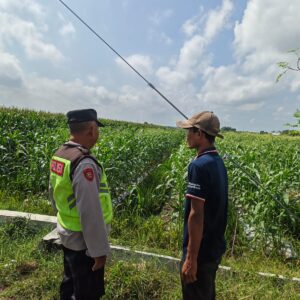 Polri Dukung Astacita, Polsek Rengel Polres Tuban Turun Cek Tanaman Padi Warga di Desa Pekuwon