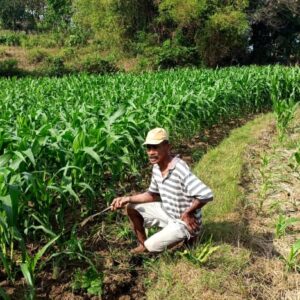 Polsek Grabagan polres Tuban Polda Jawa Timur Dukung Penuh Swasembada Pangan Presiden Prabowo Melalui Pendampingan Petani