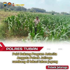 Turun ke Pematang, Polsek Jatirogo Kawal Jagung Warga Desa Ketodan Demi Astacita