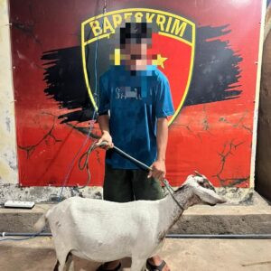 Tim Unit Reaksi Cepat Polres Dompu Berhasil Ungkap Kasus Curat dalam Operasi Jaran Rinjani 2026