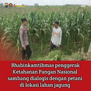 Dukung Astacita, Polsek Jatirogo Polres Tuban Pantau Langsung Lahan Jagung dan dialogis dengan petani Desa Sidomulyo
