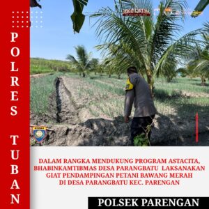 Polri Dukung Astacita, Polsek Jenu Polres Tuban jagung milik Warga di Desa Socorejo