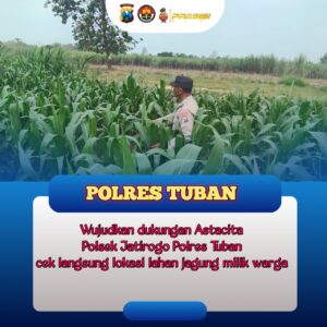 Polsek Jatirogo Turun ke Ladang Jagung Desa Besowo, Wujudkan Dukungan Astacita Swasembada Pangan
