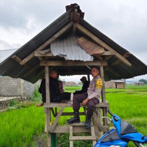 Perkuat Ketahanan Pangan, Polsek Dompu Intensifkan Pendampingan kepada Petani