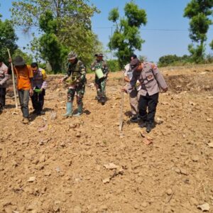 Anggota Polsek Bancar Bersama Forkopimcam dan Warga Gelar Penanaman Jagung Serentak di Desa Siding
