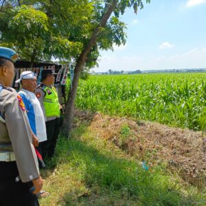 Polri Dukung Astacita, Polsek Rengel Polres Tuban Turun Cek Tanaman Jagung Warga di Desa Maibit