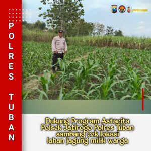 Polsek Jatirogo Pantau Ladang Jagung Warga Desa Bader , Wujud Nyata Dukung Astacita