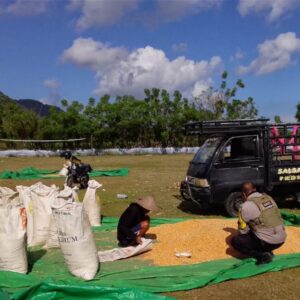 Bhabinkamtibmas Desa Sawe Pantau Hasil Panen Jagung dan Dorong Pemanfaatan Pekarangan Produktif