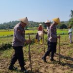 Perkuat Ketahanan Pangan, Brigpol Dian Wahono Bersama Warga Ngujuran Tanam Jagung Bersama