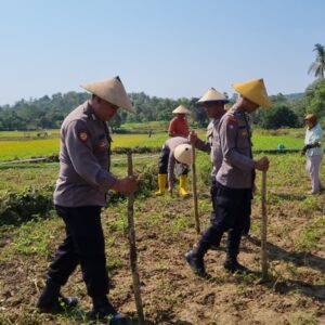 Perkuat Ketahanan Pangan, Brigpol Dian Wahono Bersama Warga Ngujuran Tanam Jagung Bersama