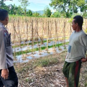 Ketahanan Pangan: Polsek Labuapi Ajak Warga Manfaatkan Lahan