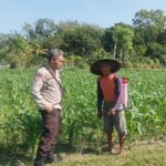 Polsek Batulayar Ajak Warga Sandik Manfaatkan Lahan untuk Swasembada Pangan