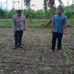 Polsek Kuripan Dampingi Petani Jagaraga Dorong Ketahanan Pangan