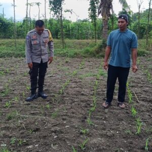 Polsek Kuripan Dampingi Petani Jagaraga Dorong Ketahanan Pangan