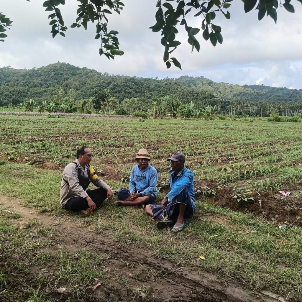 Bhabinkamtibmas Selong Belanak Dorong Petani Jagung Tingkatkan Produktivitas Dukung Swasembada Pangan