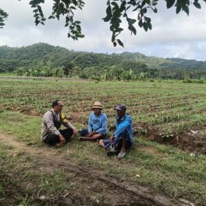 Bhabinkamtibmas Selong Belanak Dorong Petani Jagung Tingkatkan Produktivitas Dukung Swasembada Pangan