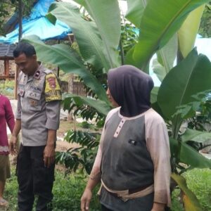Polsek Lembar Perkuat Ketahanan Pangan di Labuan Tereng