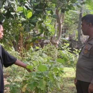 Bhabinkamtibmas Senggigi Gerakkan Warga Manfaatkan Lahan Tidur