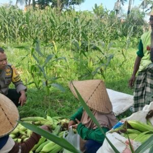 Polsek Labuapi Dorong Ketahanan Pangan di Bagik Polak Barat