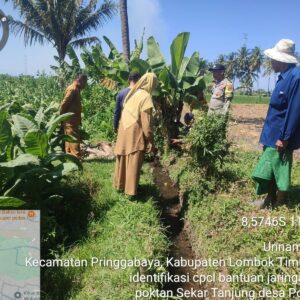 Bhabinkamtibmas Desa Masbagik Utara Laksanakan Silaturahmi dan Kontrol Tanaman Petani untuk Mendukung Ketahanan Pangan