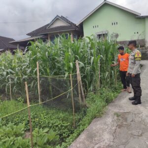 Bhabinkamtibmas Desa Paokmotong Monitoring Program Ketahanan Pangan, Dukung Swasembada Pangan Pemerintah