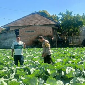  Bhabinkamtibmas Desa Masbagik Utara Sambangi Petani Guna Dukung Ketahanan Pangan