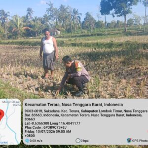 Bhabinkamtibmas Desa Kalianyar Jalin Silaturahmi dengan Ketua Kelompok Tani Suka Karya II dan Cek Perkembangan Tanaman Jagung Warga
