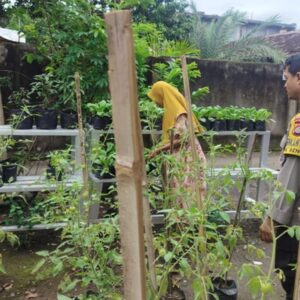 Dukung Ketahanan Pangan, Aksi Nyata Polsek Labuapi Sambangi Petani Bikin Haru dan Bangga