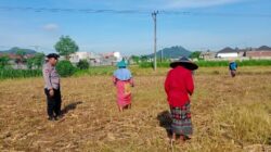 Polsek Labuapi Dampingi Petani Karang Bongkot Dorong Swasembada Pangan