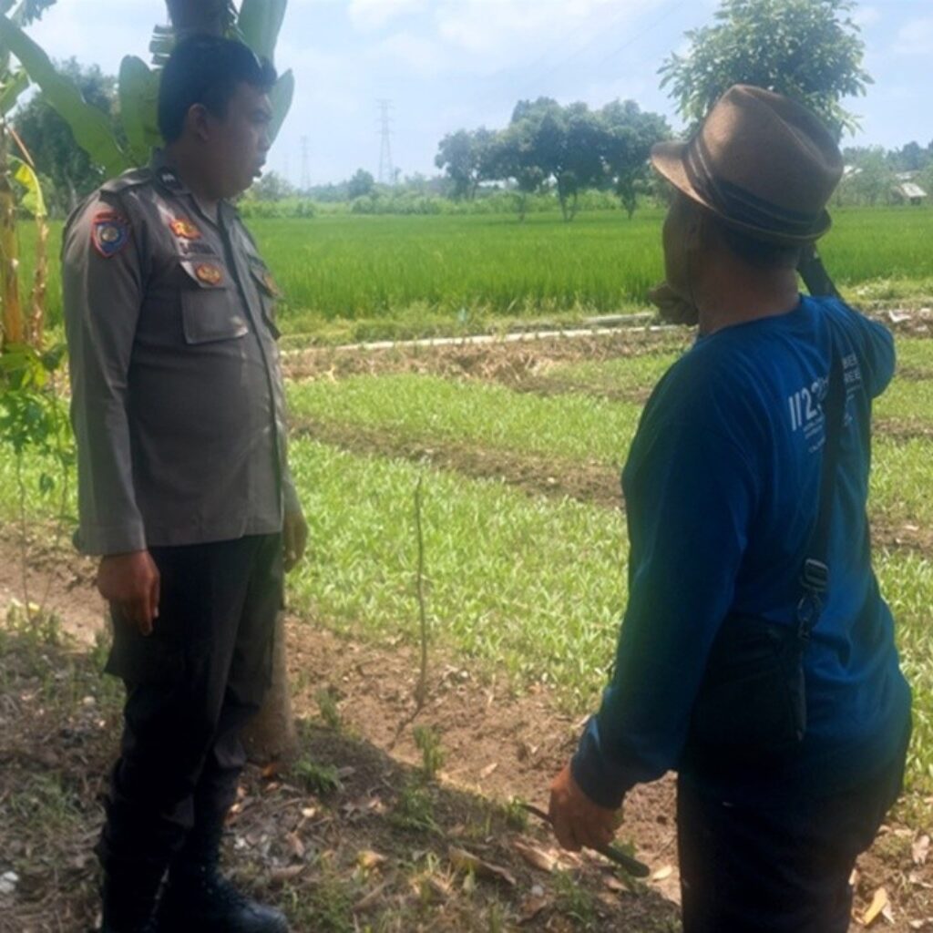 Bhabinkamtibmas Telagawaru Kawal Ketahanan Pangan Nasional di Sawah