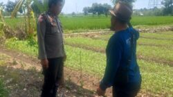 Kawal Ketahanan Pangan, Polsek Labuapi Edukasi Petani Telagawaru
