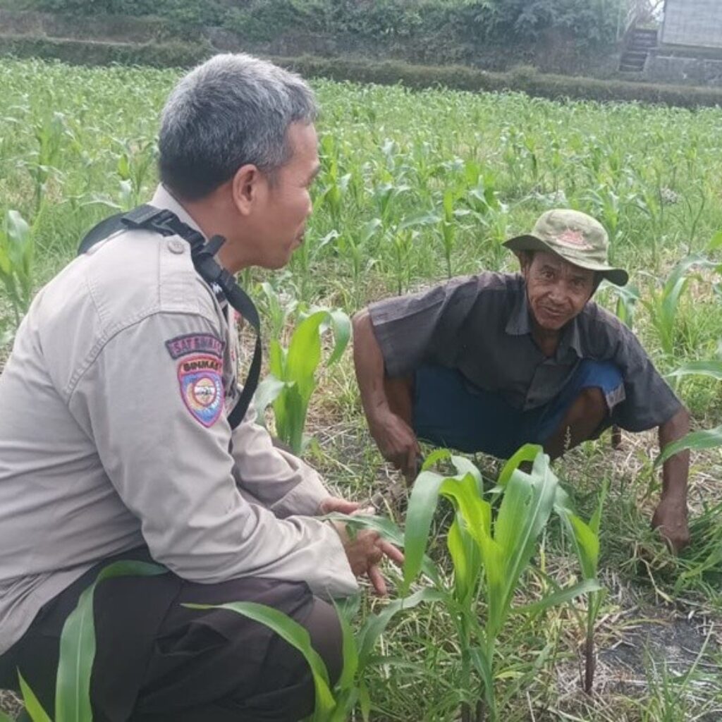 Perkuat Ketahanan Pangan Nasional, Polsek Batulayar Bergerak Pendampingan Lahan Produktif